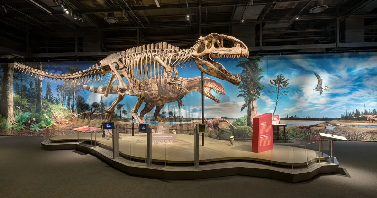 Museum of Jurassic Technology